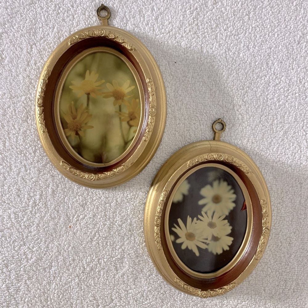 Vintage Floral Oval Wall Art Set W Gold Tone Chunky Frames x2